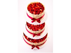 Svatební dort excelent ovocný 8500g